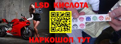 спиды Канаш