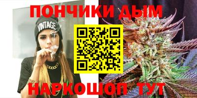 2c-b Камышлов